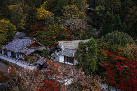 A tranquil Japanese temple courtyard framed by vibrant red maple trees in autumn. Visitors photograph the traditional tiled roof and stone lanterns, capturing heritage, serenity, and seasonal color.の写真素材