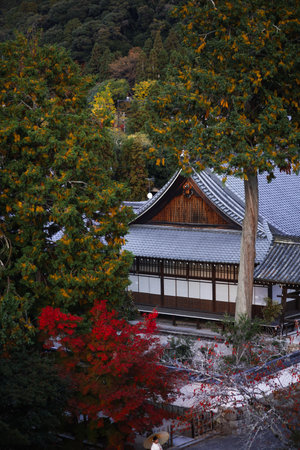 A serene Japanese temple tucked among vibrant autumn foliage, featuring tiled roof, wooden details, and bright red maple trees. Seasonal beauty evokes calm, tradition, and cultural charm.の写真素材