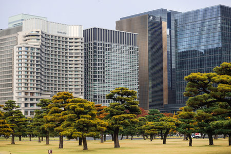 A cluster of modern skyscrapers dominates the skyline, featuring glass facades and steel frames. Foreground trees add color, creating a striking contrast between urban architecture and nature.の写真素材