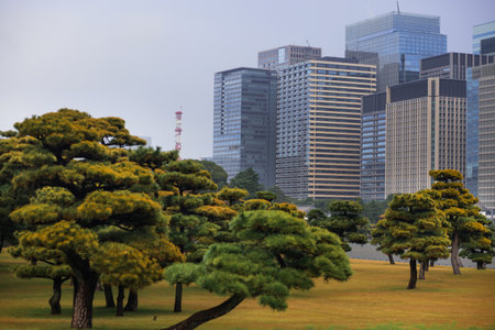 A panoramic cityscape shows towering glass and steel office buildings rising behind a serene traditional Japanese garden with sculpted pines, blending corporate architecture with historic landscaping in an urban setting.の写真素材