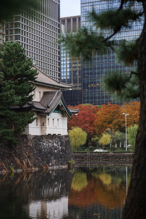 A traditional Japanese wall and tiled roof stand beside sleek glass skyscrapers. Vibrant autumn foliage adds warmth, blending heritage with contemporary urban life in a tranquil, yet dynamic city scene.の写真素材