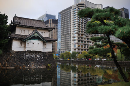 A historic Japanese castle gate sits on a stone moat. Reflections ripple in the calm water, enhancing the tranquil scene of traditional architecture and surrounding trees.の写真素材