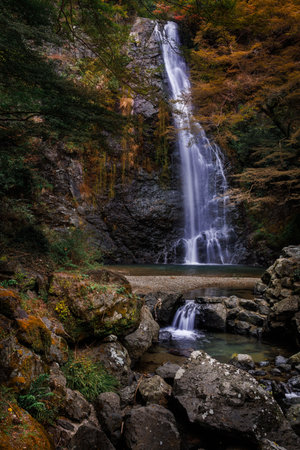 A tranquil waterfall flows down a mossy rock face through autumn foliage in a dense forest. Perfect...