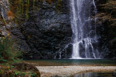 A tranquil waterfall flows down a mossy rock face through autumn foliage in a dense forest. Perfect...
