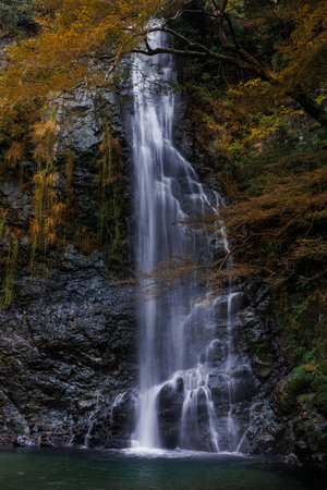 A serene autumn forest features a tall waterfall cascading over dark rocks, surrounded by colorful...