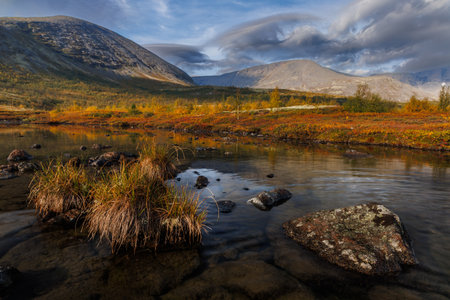 A serene autumn landscape featuring vibrant shrubs along a meandering stream. Mist drifts over...
