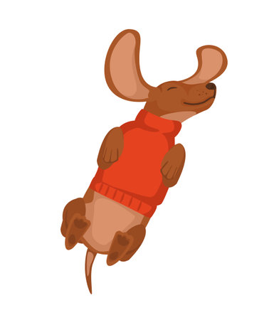 Happy dog lies on his back in a sweater. Cute characters for festive decoration. Isolated Characterのイラスト素材
