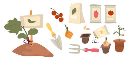 A set of garden accessories and elements for planting. Tools for farming. Seedlings in the ground, in a pot seeds in a package. Cartoon flat vectorのイラスト素材