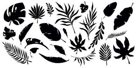 Set of black silhouettes of tropical leaves. Leaves of banana tree, palm tree, monstera and bushes.のイラスト素材