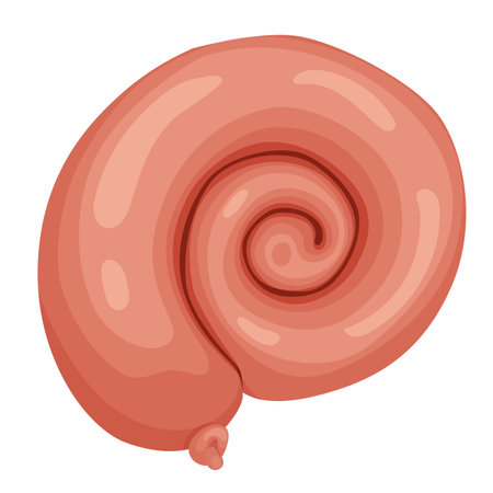 Meat product, raw sausage or sausage in vector format elements are isolated.のイラスト素材