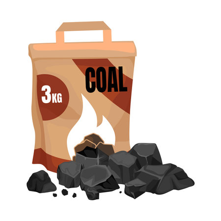 Composition of packaging and a pile of coal for BBQ. Vector cartoon fire pit for picnic.のイラスト素材
