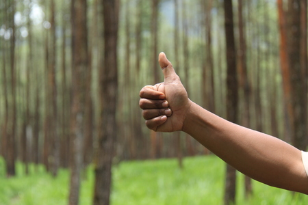 hand showing gestureの写真素材