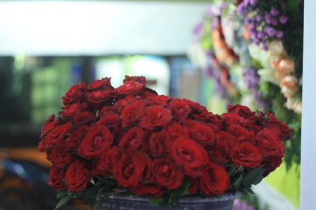 flowers in the vaseの写真素材