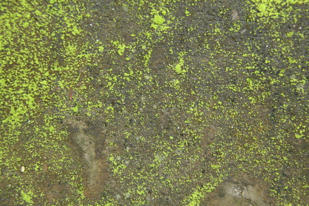 photo of the wall surface texture of the house, aged, isolated.の写真素材