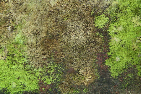 photo of the wall surface texture of the house, aged, isolated.の写真素材
