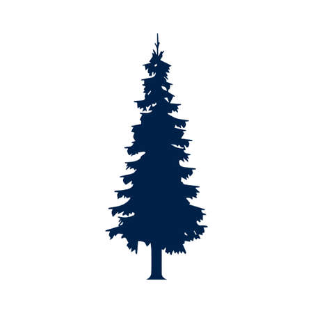 Fir tree icon , pines tree logo template isolated on white background.のイラスト素材