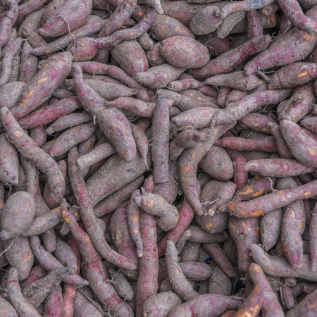 potatoes raw vegetables food in market for pattern texture and backgroundの写真素材