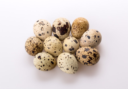 Ten quail eggsの写真素材