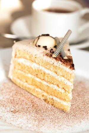 Slice of cake decorated with white chocolate sticksの写真素材