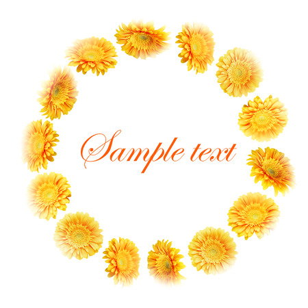 Falling gerberas isolated on white backgroundの写真素材