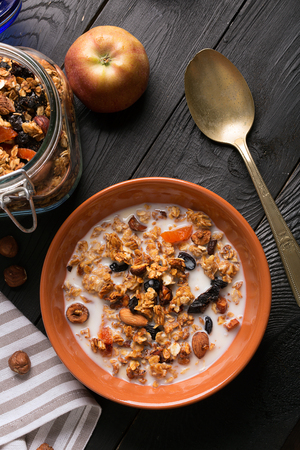 Granola with apple, oatmeal and dried fruitsの写真素材