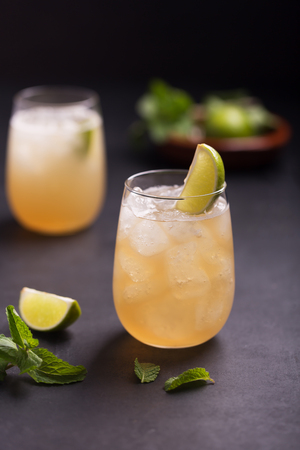 Fresh cocktail prepared with ginger beer, lime, mint and iceの写真素材