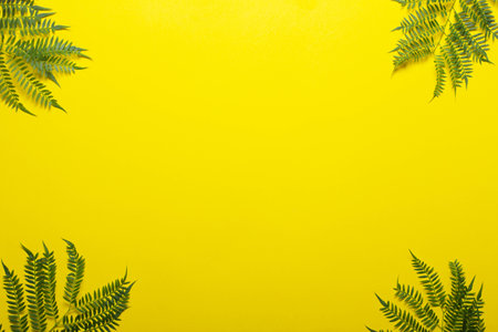 Jakaranda branch on a yellow background. Creative imageの写真素材
