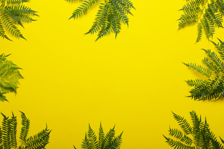 Jakaranda branch on a yellow background. Creative imageの写真素材