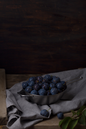 Blue blackthorn or sloe berries on the white bowlの写真素材