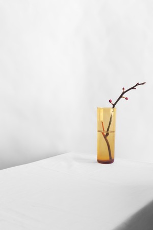 Modern still life with branch of orchid on the white table and background. Minimalist styleの写真素材