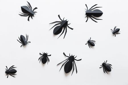 Spiders on orange background. Halloween holiday concept. Black insects over background. Top view,...