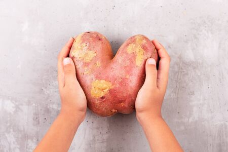 Ugly potato in the heart shape on a gray background. Funny, unnormal vegetable or food waste concept. Horizontal orientationの写真素材
