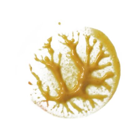 Mustard sauce swipe isolated on white backgroundの写真素材