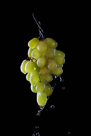 Branch of Green grapes and water splash isolated on dark backgroundの写真素材