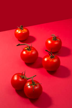 Fresh tomatoes presented on red background, creative minimalism conceptの写真素材
