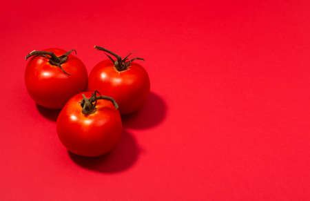 Fresh tomatoes presented on red background, creative minimalism concept with copy spaceの写真素材