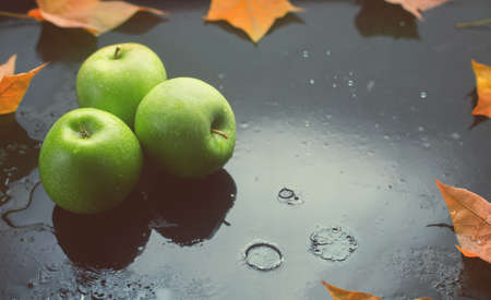 Green apples and oak leaves on a dark background with raindrops, toned photoの写真素材