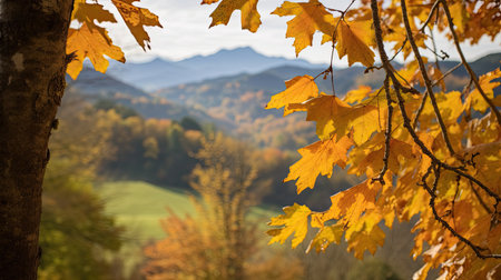 Yellow and orange leaves on the trees with autumn background. Generative aiの素材