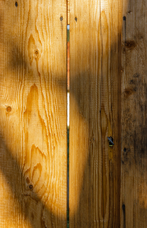 Old  wooden yellow background with a ray of sunshine, close upの写真素材