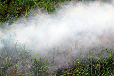 White smoke on the green grassの写真素材