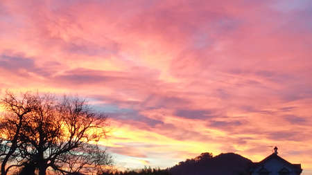 Red and orange clouds on the evening sky over forest and buildings.の写真素材
