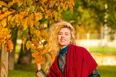 romantic autumn portrait of a girl with long blond hair on a background of a tree with yellow leaves.の写真素材