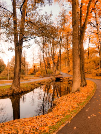 early morning in an autumn park with yellow and red leaves. A mirror image of trees and a small...