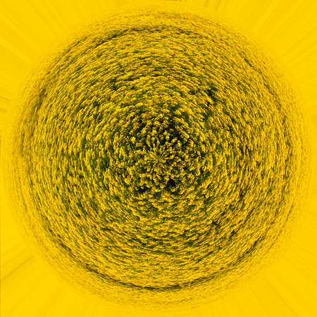abstract image of yellow rapeseed field in the shape of a circle. Selective focus