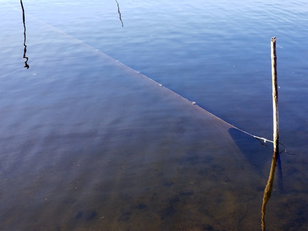 An image of a fishing net floating on the surface of the lake. The net is used to catch fish. The...
