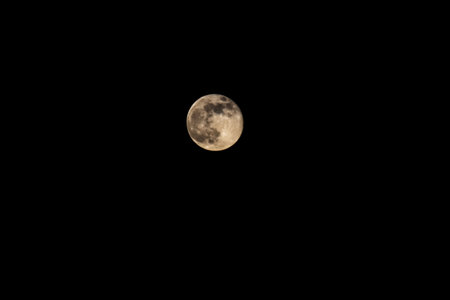 The full moon is a beautiful sight to be held, and its a great opportunity to take some amazing...