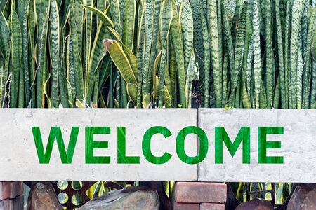 Welcome word on flowerpot with plants in the yard. Eco friendly, welcome home conceptの写真素材