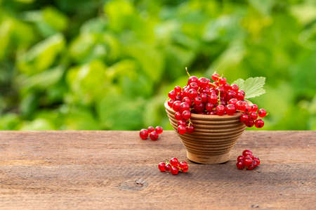 Ripe red currant berries in a bowl on wooden table.の写真素材