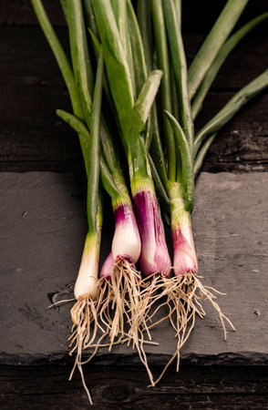 Bunch of fresh green onions (scallions) in bundle on stone board. Top view.の写真素材
