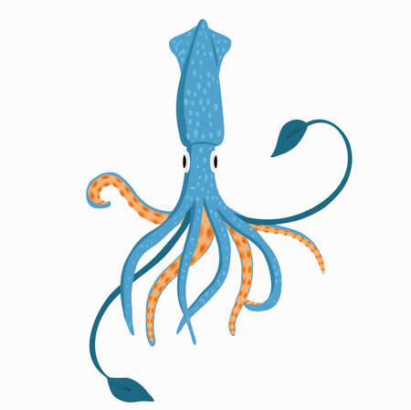 Vector image of squid, isolated on whiteのイラスト素材